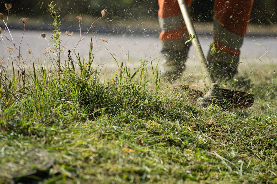 A person wearing a dark long-sleeved shirt and a black cap is using large hedge shears to trim a dense, well-maintained hedge in a garden. The hedge consists of small, green, glossy leaves, and the trimming action creates a neat, straight top edge. In the background, there are tropical plants with large, dark green fronds indicating a lush environment, and soft natural light illuminates the scene. The garden appears orderly with a landscaped layout, and the person is engaged in garden maintenance, which is representative of professional landscaping or hedge trimming work typical for outdoor garden care, as offered by Gardeners Finchley at their location on Ballards Lane Finchley.