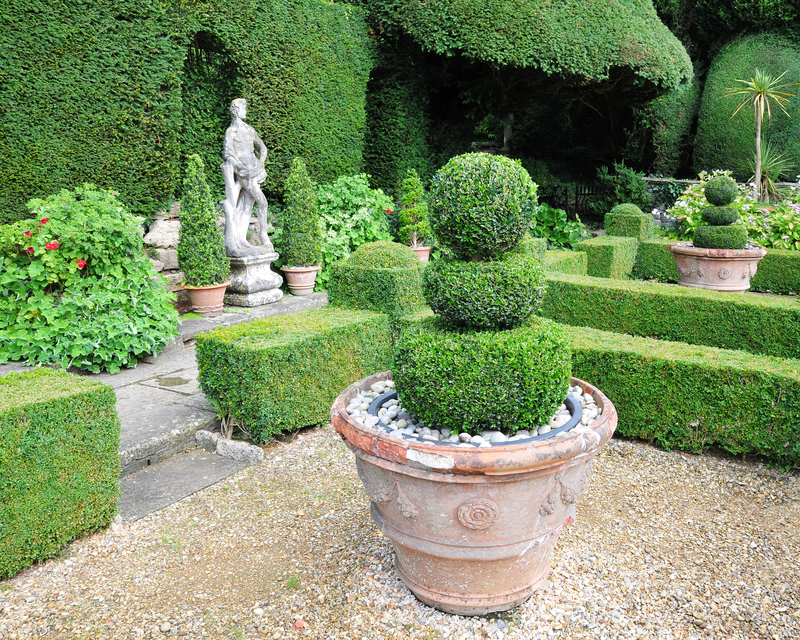 landscape design Garden